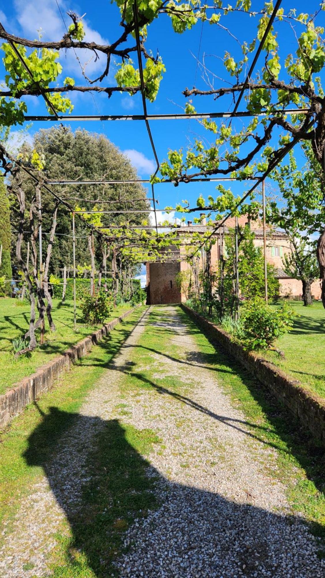 Al Glicine Di Sant'Abondio Villa Siena Exterior foto